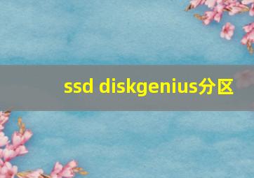 ssd diskgenius分区